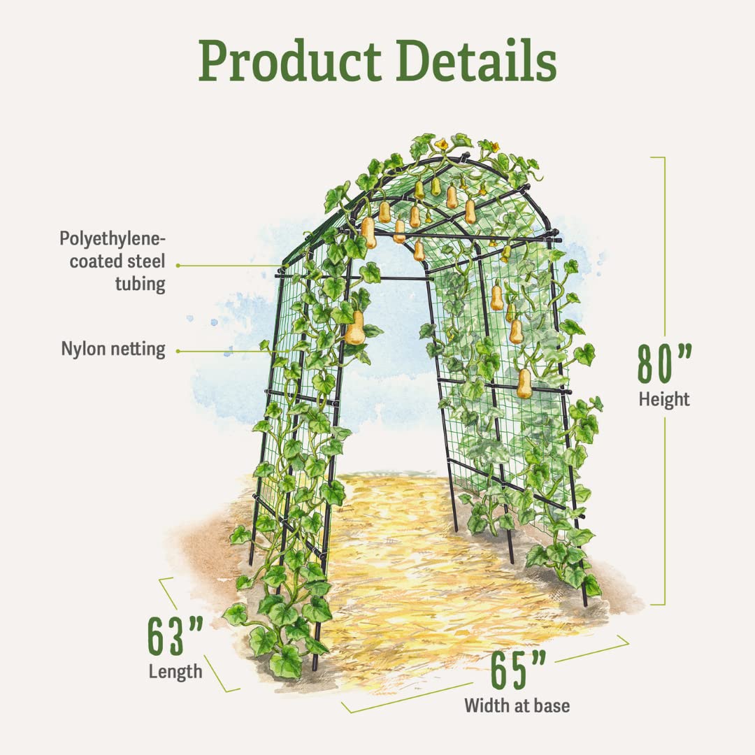 Gardener’s Supply Company Extra Tall Garden Arch Arbor | 80 Inch Tall Titan Squash Tunnel | Lightweight Metal, Trellis Plant Stand for Climbing Vines | Outdoor Lawn Tower & Support Structure Gardener's Supply Company