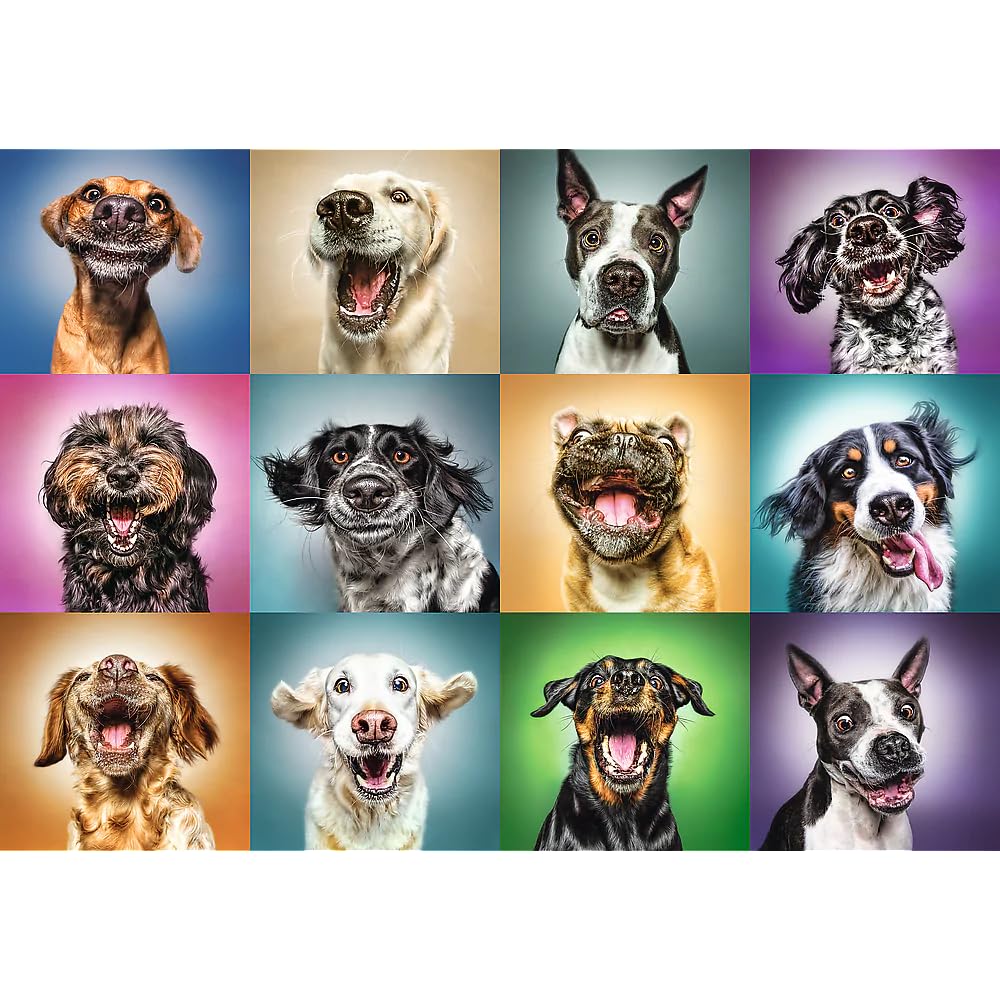 Trefl Funny Dog Portraits 1000 Piece Jigsaw Puzzle Red 27"x19" Print, DIY Puzzle, Creative Fun, Classic Puzzle for Adults and Children from 12 Years Old Trefl