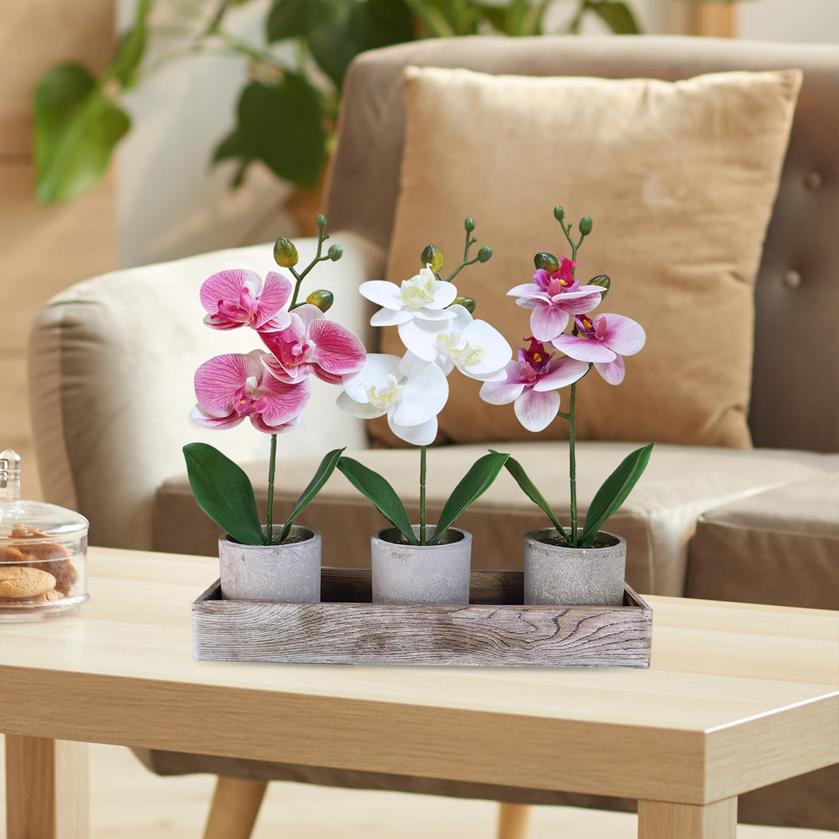 Winlyn Set of 3 Small Artificial Orchid Potted Plants Arrangement with Rustic Wood Planter Box Real Touch Faux Phalaenopsis Moth Orchid Flowers in Pots for Home Office Desk Shelf Table Centerpiece Winlyn