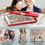 hill froeistung 5D Colorful Bird Diamond Art Painting Kits for Adults,Flower Diamond Art, DIY Full Drill Birdhouse Diamond Art Painting(16X12 inch) hill froeistung