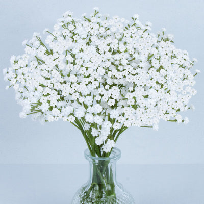 MAQIAHN 6 Baby Breath Artificial Flowers - Babies Breath Flowers Artificial Bulk Faux Flowers Bouquet White Flores Greenery Real Touch Fake Flowers Arrangements Wedding Centerpieces Tables Decorations