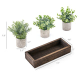 Dahey 3 Pack Mini Potted Artificial Eucalyptus Fake Plants with Wood Tray Centerpiece Table Decorations, Farmhouse Pulp Flower Pots Greenery Home Decor for Coffee Table Dining Room Office Kitchen Dahey