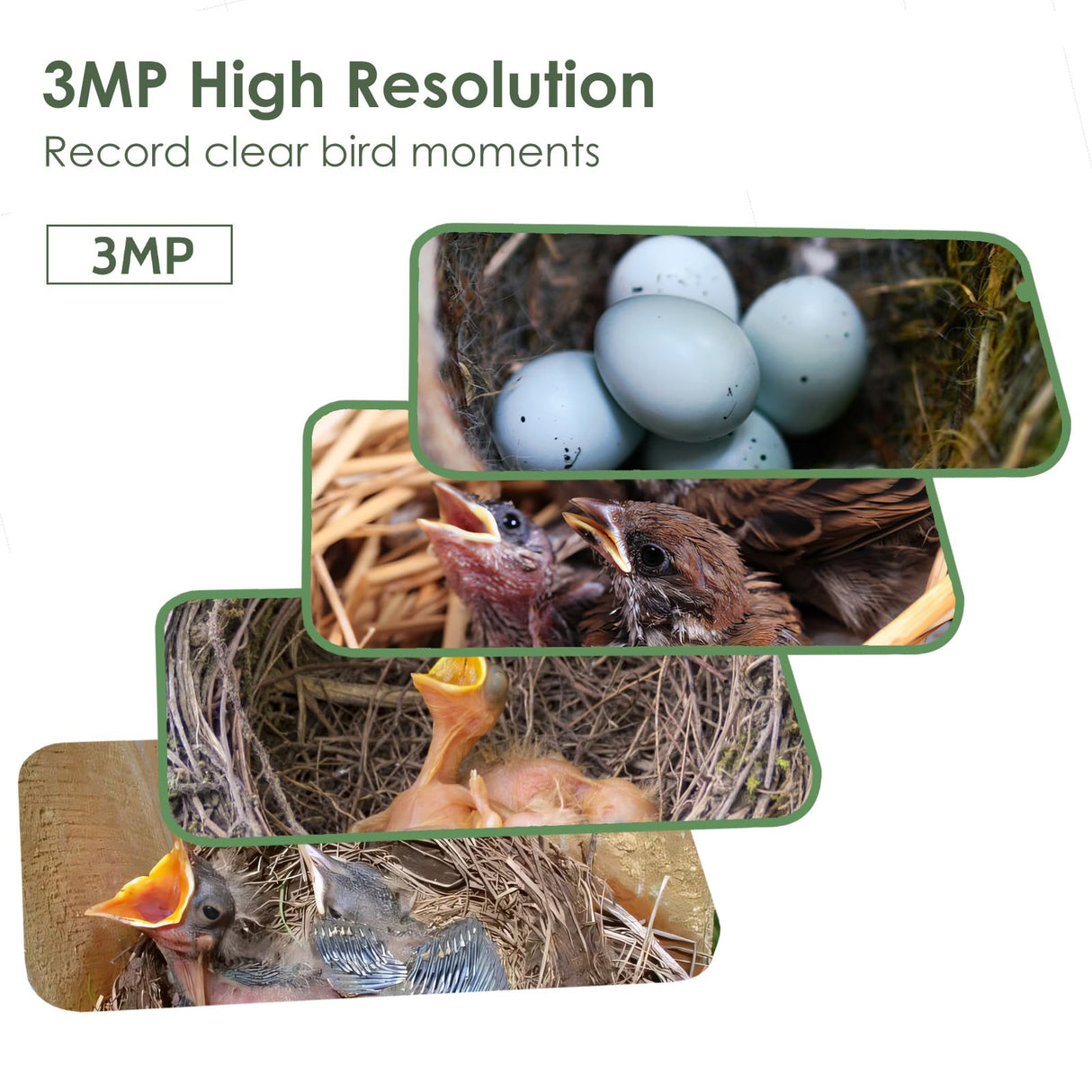 Birdkiss Smart Hummingbird House with Camera Solar Powered, 3MP HD Live View Birdhouse for Outside, Viewing Bird Nesting and Hatching, Ideal Outdoors Gift for Mom and Bird Lover (Black) Birdkiss