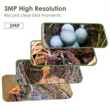 Birdkiss Smart Hummingbird House with Camera Solar Powered, 3MP HD Live View Birdhouse for Outside, Viewing Bird Nesting and Hatching, Ideal Outdoors Gift for Mom and Bird Lover (Black) Birdkiss