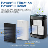 HPA300 HEPA Air Purifier Filter R for Honeywell Air Purifier HPA100/200/300 and 5000 Series, 6 Pack True HEPA Filter Compatible with Honeywell R Filter (HRF-R3 & HRF-R2 & HRF-R1) Cabiclean