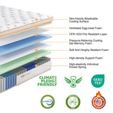 Twin Mattress, 10 Inch Twin Mattress for Kids,Adult,Pocket Springs for Pressure Relief, Motion Isolation CertiPUR-US Certified, Edge Support,Fiberglass Free，Soft Feel but Supportive，365 Night Trial TQX