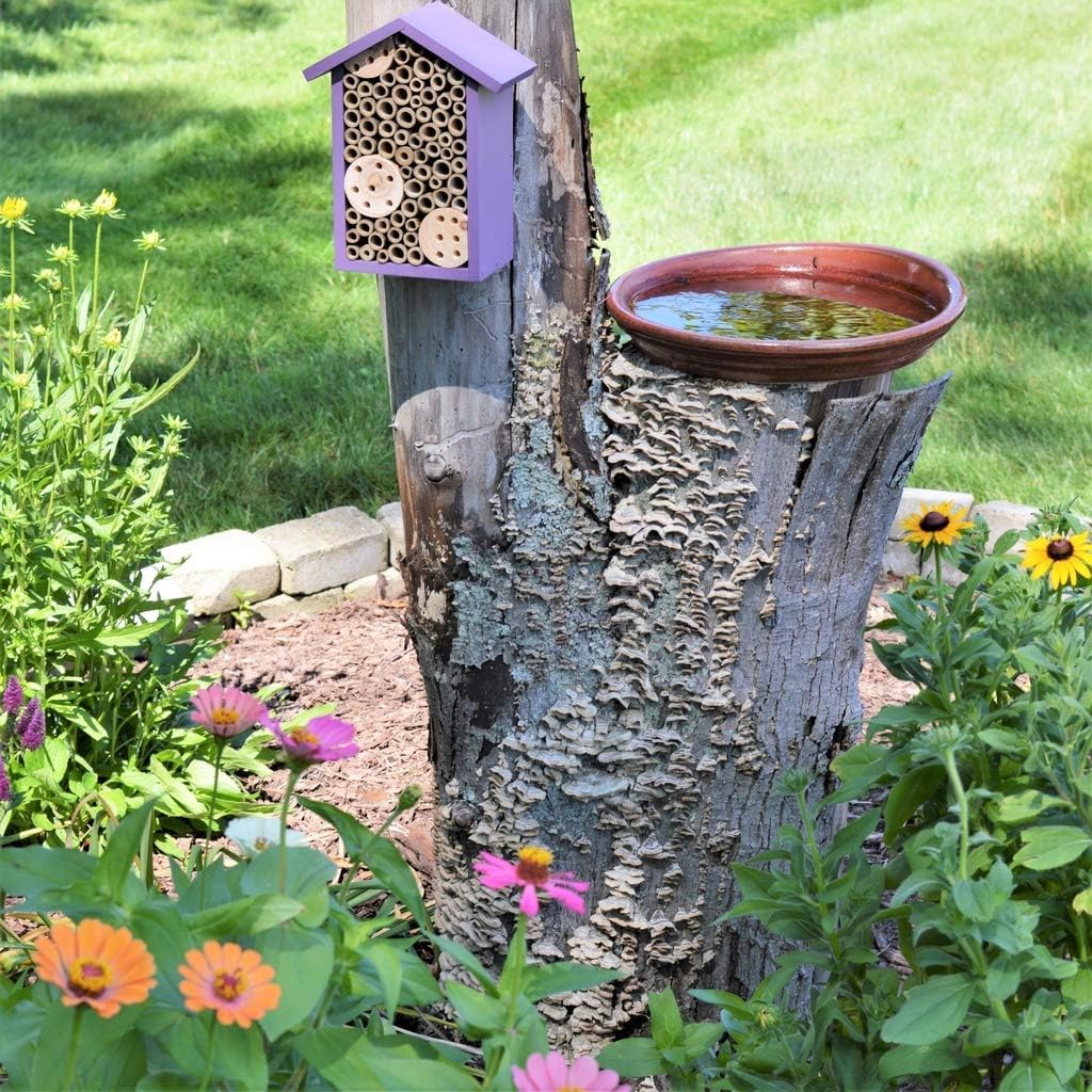 Nature's Way Bird Products PWH1-B Purple Bee House Nature's Way