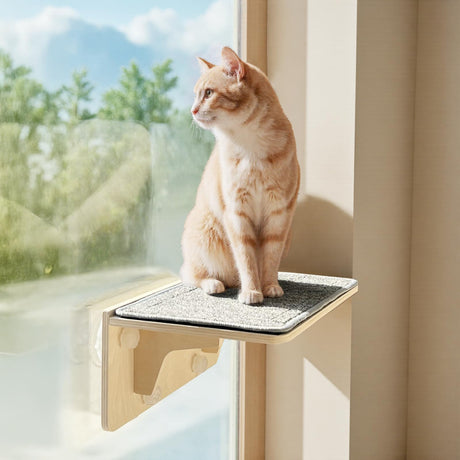 Pecute 2-in-1 Cat Window Perch & Wall Shelves - Sturdy Solid Wood Frame, 4 Large Rotating Suction Cups, Washable Carpet Cloth Cover, Space-Saving Indoor Cat Hammock Bed for Large Cats & Kittens Pecute