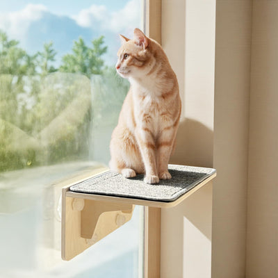 Pecute 2-in-1 Cat Window Perch & Wall Shelves - Sturdy Solid Wood Frame, 4 Large Rotating Suction Cups, Washable Carpet Cloth Cover, Space-Saving Indoor Cat Hammock Bed for Large Cats & Kittens