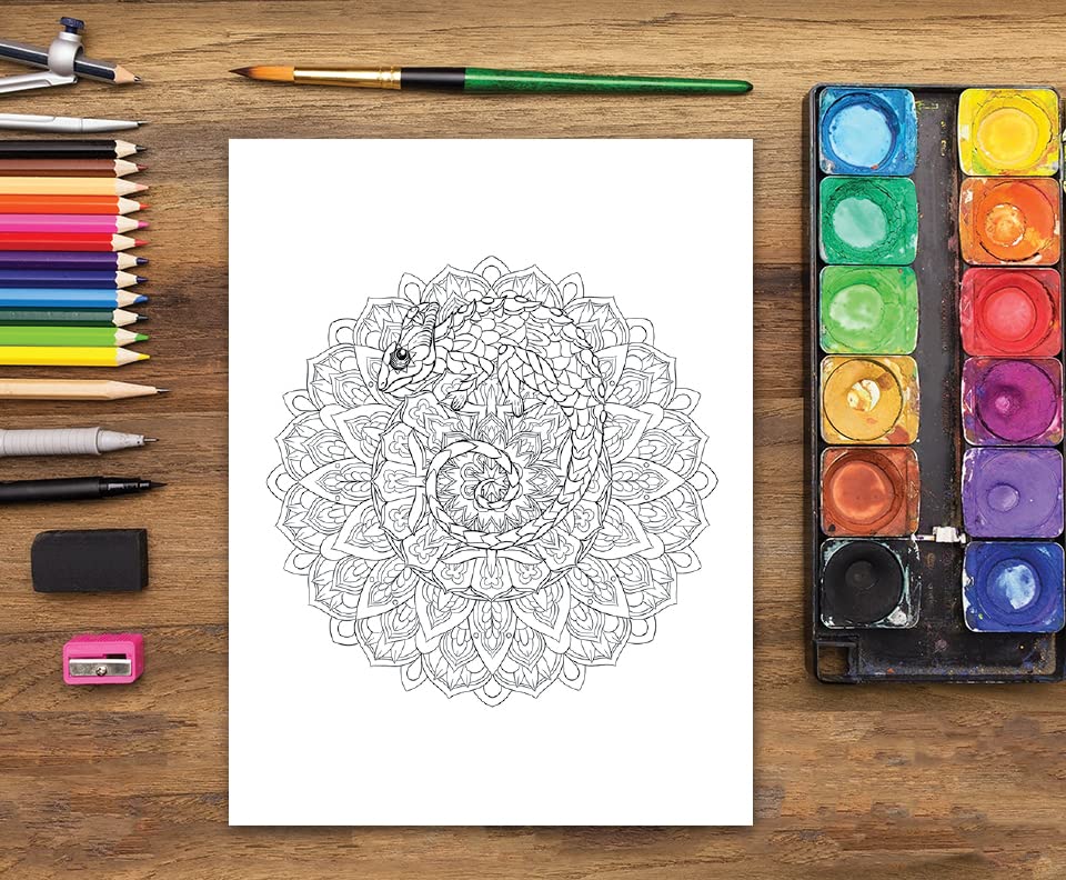 Adult Coloring Book: Animal Mandalas