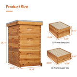 VINGLI 10-Frame Bee Hive, Wax Coated Beehive Starter Kit with Frames & Beeswax Coated Foundation Sheets (3 Layer) VINGLI