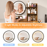 Makeup Vanity Desk with Round Mirror and Lights, White Vanity Makeup Table with 2 Drawers, Small Vanity Table for Bedroom with Lots Storage (Brown and Black, 15.75 * 31.5 * 53.6in) Vabches