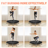 BCAN 36 Mini Trampoline Rebounder Trampoline for Adults Max Load 170lbs Small Trampoline Exercise Trampoline Fitness Trampoline Indoor/Garden Workout BCAN