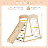 Costzon Indoor Jungle Gym, 6-in-1 Montessori Climbing Toys for Toddlers with Double-Sided Slide, Climbing Rock/Net, Indoor Wooden Playground Climber Playset for Kids 2-6 Years Birthday Costzon