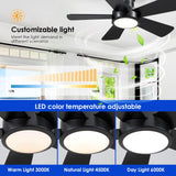 Ceiling Fans with Lights,Modern Low Profile Ceiling Fan with Remote Control,5 Dual-Sided Blades,Reversible DC Motor,40" Black Small Flush Mount Ceiling Fan for Bedroom Indoor/Outdoor Use Hounberi