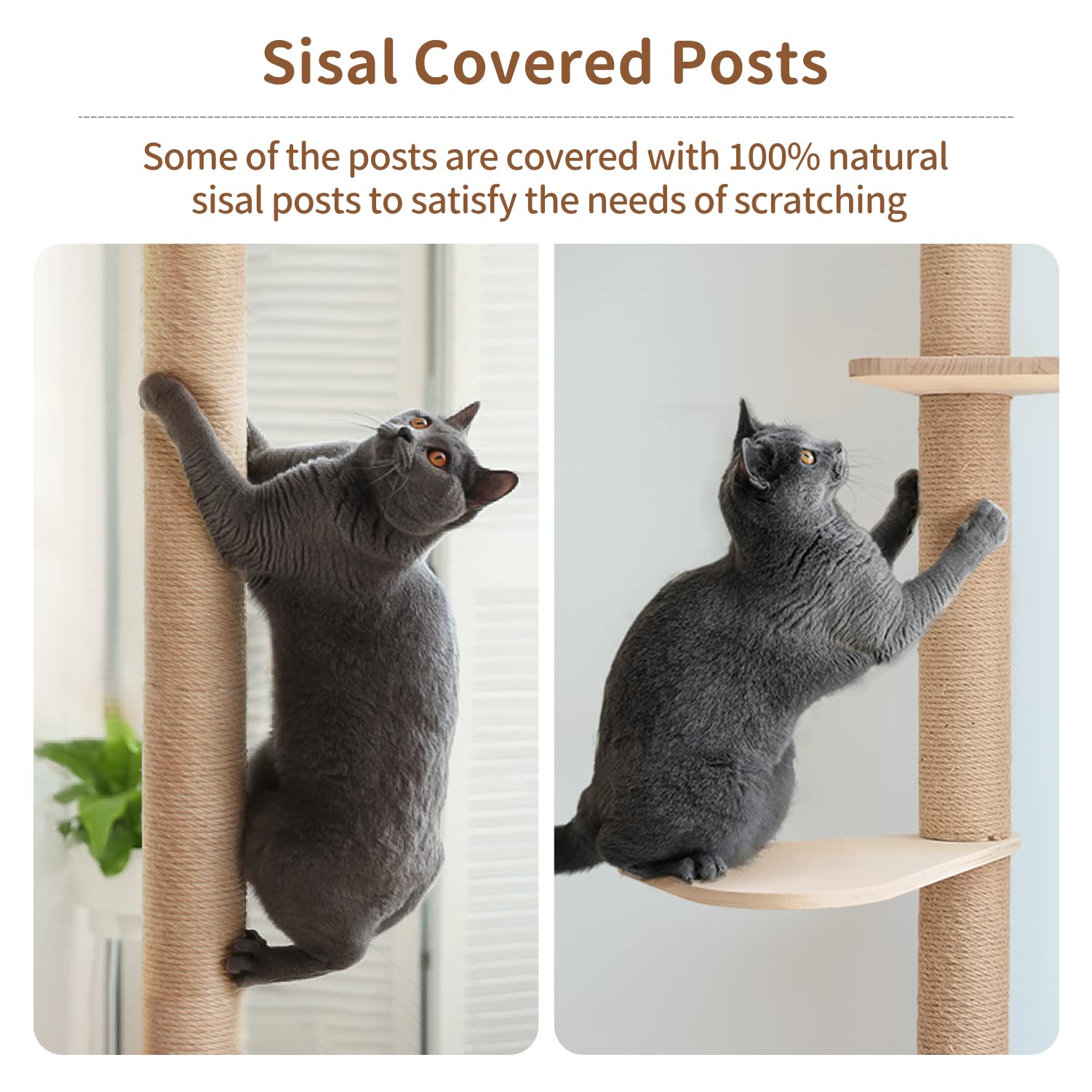 Wood Cat Tower Floor to Ceiling Adjustable, Tree Tall Cat Scratching Post, Cat Tree with 3-Tier Floor for Climb, Cat Climbing Tower Vertical with Natural Sisal Rope - WoodArtSupply