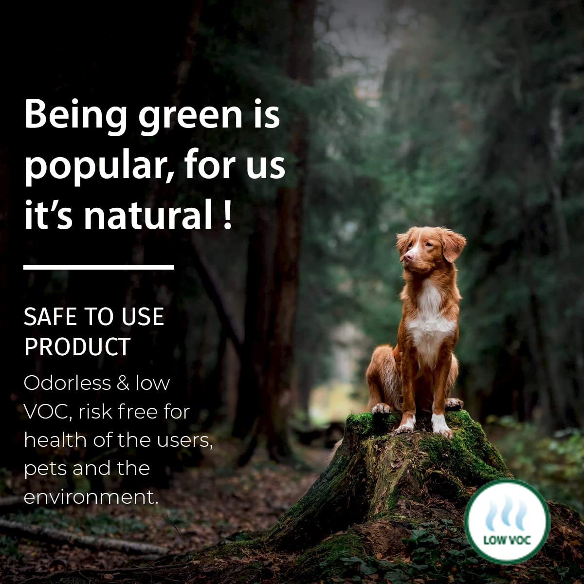 SamaN Interior One Step Wood Seal, Stain and Varnish – Oil Based Odorless Dye - Protection for Furniture and Fine Wood (Dark Walnut SAM-314, 8 oz) SamaN