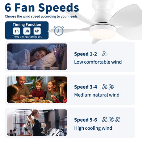 Low Profile Flush Mount Ceiling Fan With Light HouseOfZazla
