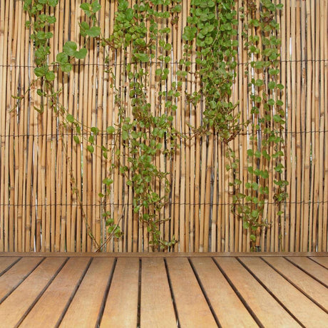 FOREVER BAMBOO Jumbo Reed Bamboo Screen Fencing Privacy Fence Backyard Divider Decorative Reed Garden Fencing, Natural 6 ft H x 16 ft L FOREVER BAMBOO