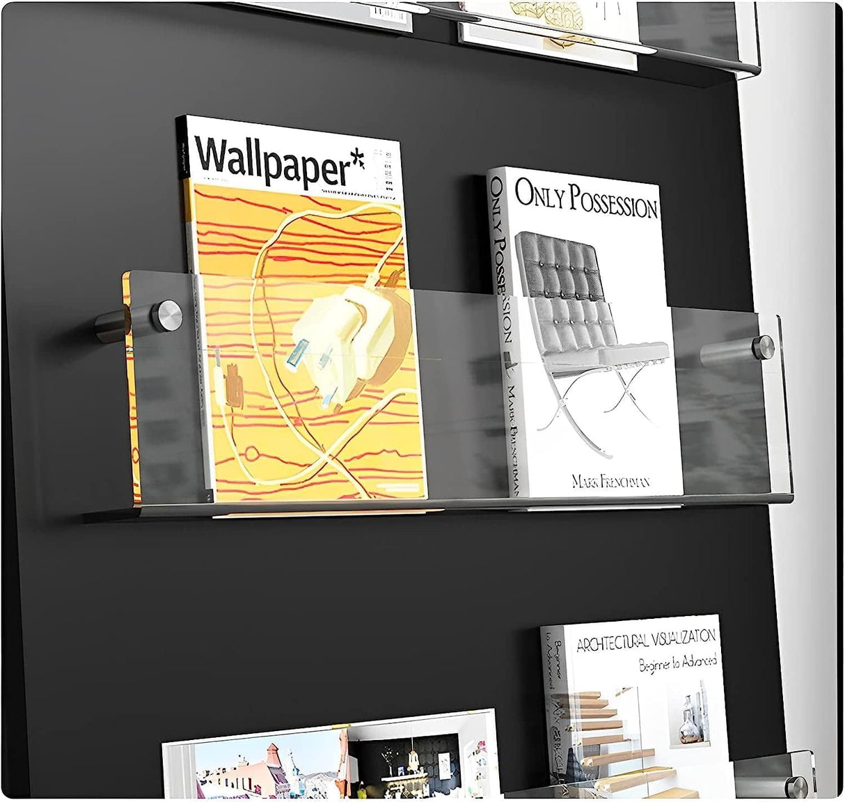 ROYALITA 2-Pack Acrylic Magazine Holder Brochure Holder, 17" Record Holder Magazine Rack, Fashion Hanging Bookshelf Literature Storage Rack for Waiting Room, Living Room, Office, Clear 17 Inch ROYALITA