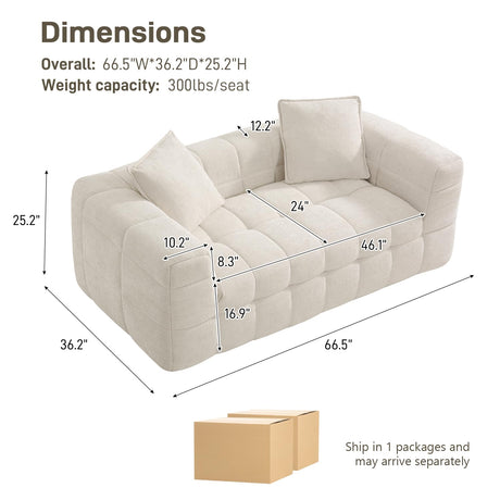 DAMAIFROM 66.5" Chenille Cloud Sofa Couch with 2 Soft Pillows, Comfy Upholstered Chenille 2 Seater LoveSeat Sofa, Modern Deep Seat Sherpa Cloud Couch, Oversized Love Seat for Living Room, Beige White DAMAIFROM