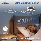 BvenuBigLite Large Ceiling Fans with Lights: Modern 72 Inch 8 Blade Outdoor Ceiling Fan with Remote APP Control - Dimmable Black Big Fan light Indoor Reversible 6 Speed Quiet DC Motor BvenuBigLite