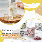 Gel Wax for Candle Making Clear Kit for Adults, DIY Transparent Jelly Wax Set with Electric Melter, Glass Jars, Wick, Dyes and Scents KQU