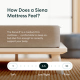 Siena 8” Queen Gel Memory Foam Mattress - Medium Firm - 180 Night Trial - Premium Pressure-Relieving Layers - 10 Year Manufacturer Warranty - CertiPUR-US® Certified Siena