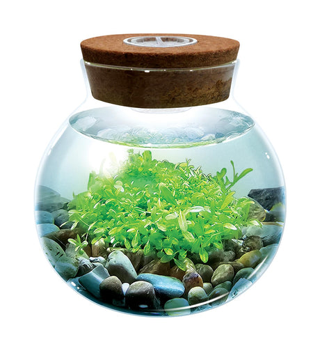 WaterPlants- Create Your Own Lush and Soothing Aquasacape Terrarium Starter Kit, Indoor Plant Glass Globe Terrariums with Powerful 3 LED Light and Complete Supplies, Just Add Water! Unique Gardener