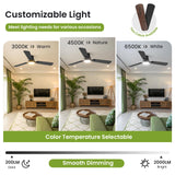 OSTIVE Ceiling Fans with Lights and Remote: 42 Inch Modern Black Ceiling Fan, Low Profile Flush Mount, Quiet Reversible DC Motor & 3CCT Dimmable LED for Bedroom Living Room Kitchen Indoor Outdoor OSTIVE