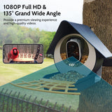 Birdkiss Smart Bird Feeder with Camera, AI Identify Bird Feeder Camera with Solar Pannel, Auto Capture Bird Full HD Videos & Instant Notification, Birdkiss