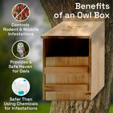 WildYard Owl House with Real Wood - Easy to Hang - Prebuilt Nesting Box for Kestrels - Cedar Shavings & Screws Included WildYard