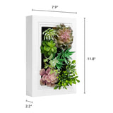 Nattol 3D Artificial Succulent Wall Art, Wood Frame with Realistic Faux Plant, Wall Hanging Botanical Decoration, Home Decor Idea for Vertical Garden and Fake Plants, White Nattol