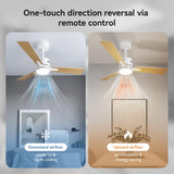 SUNMORY Ceiling Fans with Lights and Remote, 42 Inch Modern Ceiling Fan with Light, Reversible DC Motor, Dimmable LED, 3CCT, Quiet, Small Ceiling Fan for Bedroom/Living Room/Patios, White SUNMORY