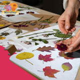 Microfleur Max Art Flower Presser Kit – Quick & Easy Pressing with Washable Cloth, Vibrant Color Retention, Fits Most Microwaves, 9" (23 cm) Microfleur