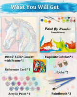 TOCARE Framed Paint by Numbers Kit for Adults, Horse Paint by Numbers with Frame,Simple Oil Horse Paint by Number Framed for Adults Beginner & Kids Ages 8-12(10x10 Inch, Without Easel) TOCARE