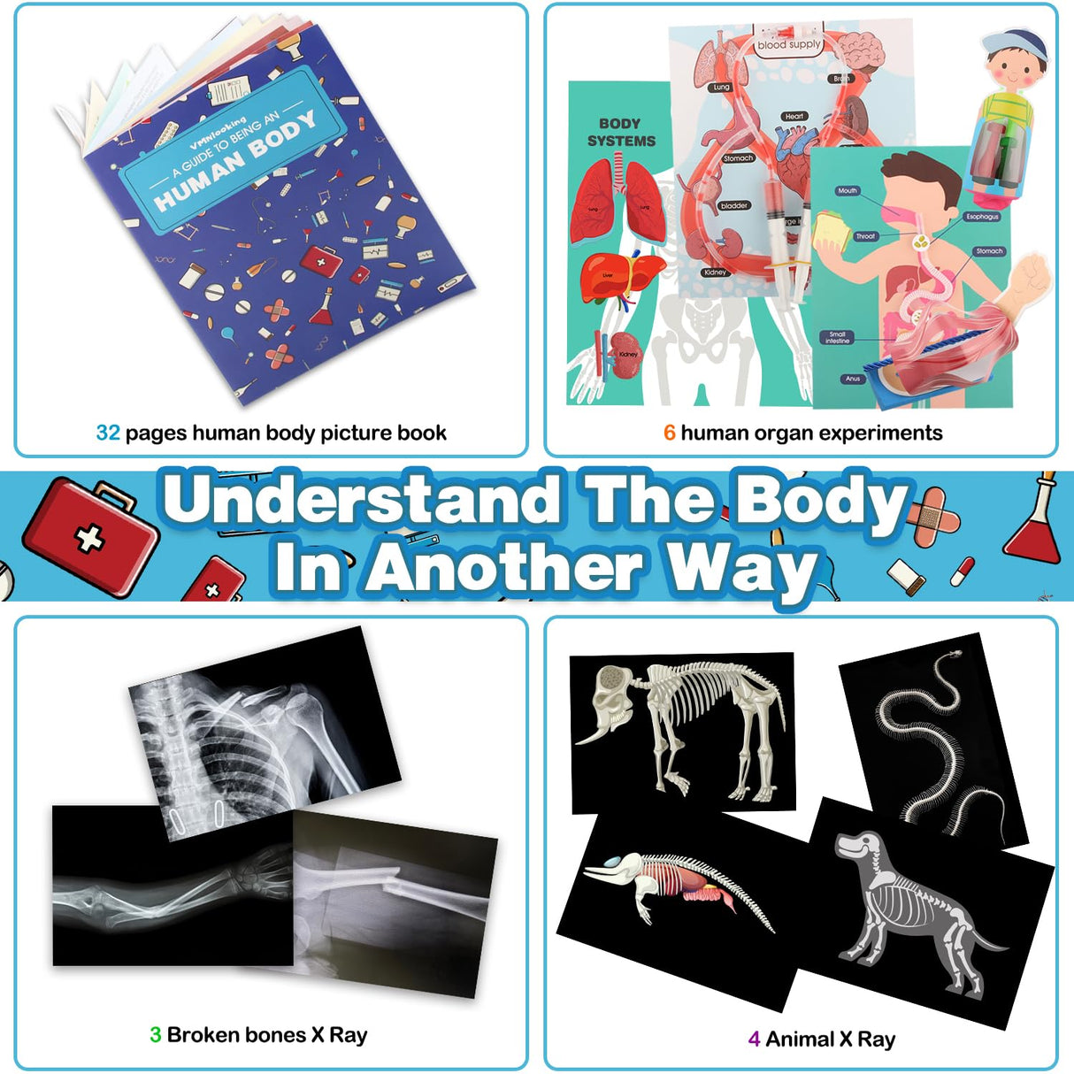 Human Body Activities & Experiments Science Kit for Kids,Human Anatomy Body Parts with Broken Bones X Ray,Lung Breathing Model, Vessels, Digestive System,Muscles Model,Skeleton,Human Organ STEM 5+ VMNlooking