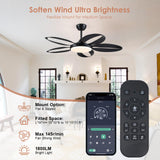 Ceiling Fans with Lights, 48 inch Black Ceiling Fan with Remote APP, Unique Fan Blades, Reversible, 3CCT Led, Sloped Flush Mount Low Profile Ceiling Fan with Lights Bedroom Living Room Indoor BayDay