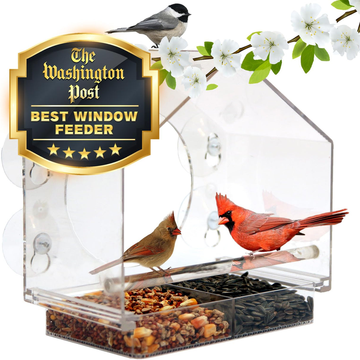 Window Bird Feeder by Nature Anywhere - Transparent Acrylic Bird Feeders for Outdoors - Enhanced Suction Grip, Bird Watching for Cats, Easy-to-Clean, Outdoor Birdhouse Feeder Nature Anywhere