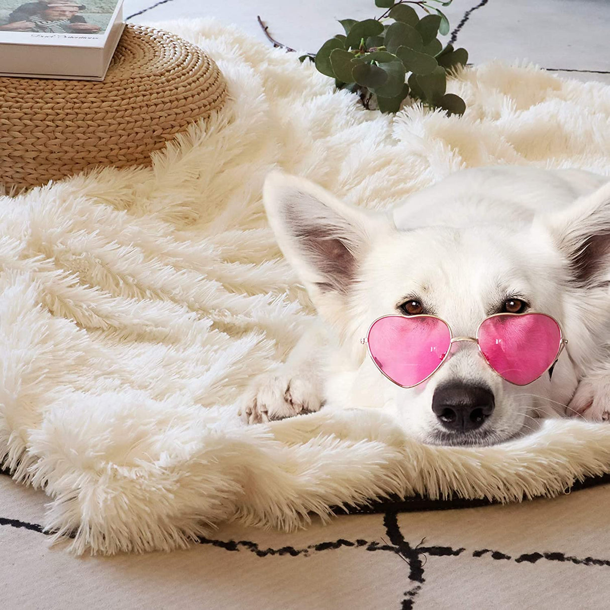 Tuddrom Decorative Extra Soft Fuzzy Faux Fur Throw Blanket 50" x 60",Solid Reversible Long Hair Shaggy Blanket,Fluffy Cozy Plush Comfy Microfiber Fleece Blankets for Couch Sofa Bedroom,Cream White Tuddrom