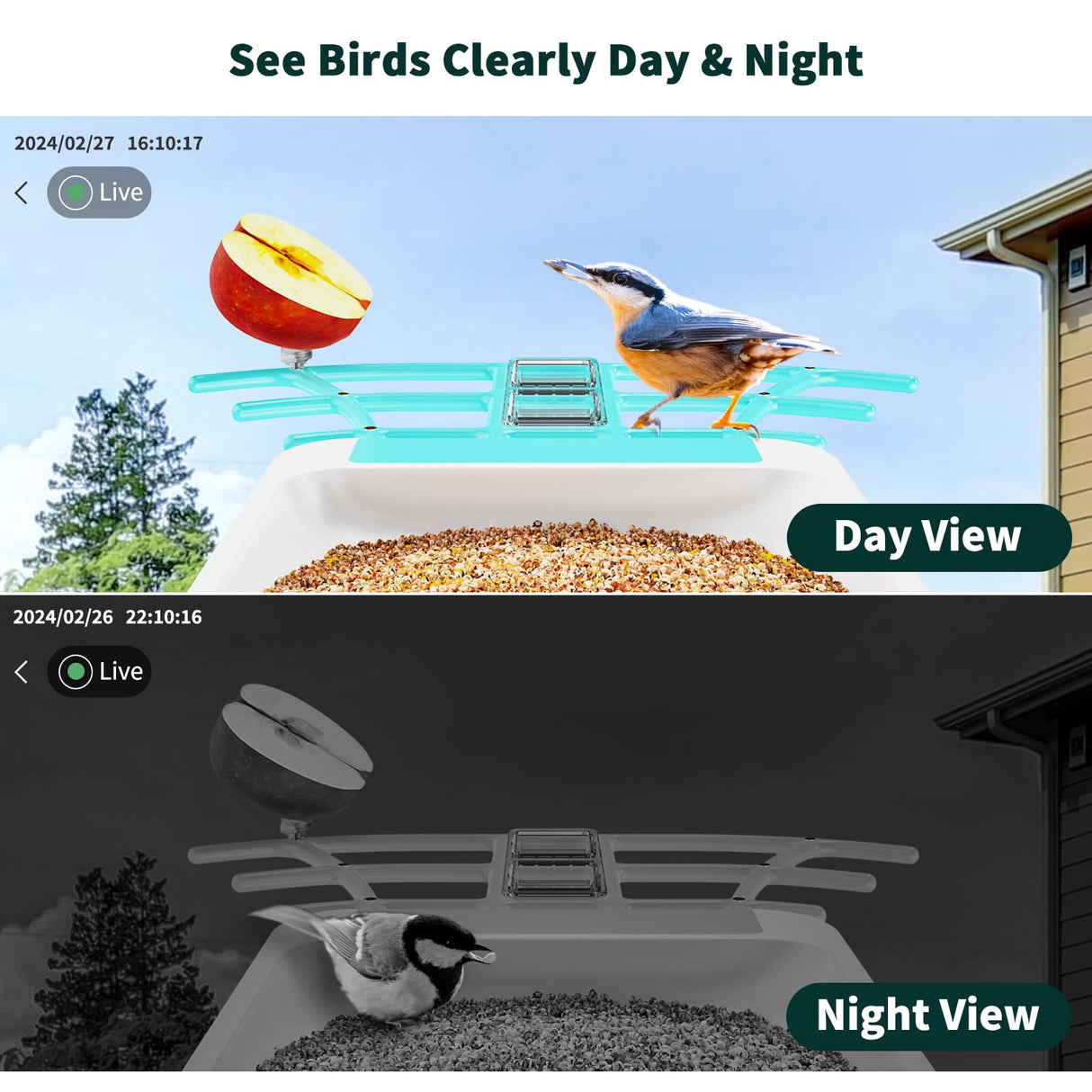 Smart Bird Feeder with Camera, Bird House with Cam with AI Identify Bird Species, Auto Capture Bird Videos & Motion Detection, Real Time Views, Bird Watching Camera Gift for Bird Lover HARYMOR