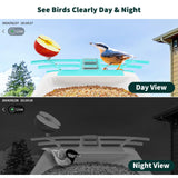 Smart Bird Feeder with Camera, Bird House with Cam with AI Identify Bird Species, Auto Capture Bird Videos & Motion Detection, Real Time Views, Bird Watching Camera Gift for Bird Lover HARYMOR