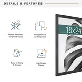 MCS Studio Gallery 18x24 Poster Frame Black Woodgrain, Vertical & Horizontal Wall Hanging Large Picture Frame for Photos, Posters & Art Prints (1-Pack) MCS