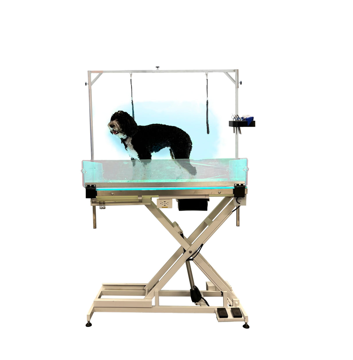 Cove Products LED Lit Master Groomer Electric Lift Grooming Table (Complete Package) Cove Products