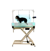 Cove Products LED Lit Master Groomer Electric Lift Grooming Table (Complete Package) Cove Products