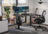 Claiks Glass Standing Desk, Electric Standing Desk Adjustable Height, 48 Inch Adjustable Stand Up Desk, Quick Install Home Office Computer Desk, Black Claiks