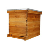 ThxBees 10-Frame Bee Hive Complete Beehive Kit Beeswax Coated Beehive Include Frames and Foundation Sheets for All Beekeeping Levels (1 Deep & 1 Medium Bee Boxes) ThxBees