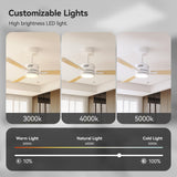 SUNMORY Ceiling Fans with Lights and Remote, 42 Inch Modern Ceiling Fan with Light, Reversible DC Motor, Dimmable LED, 3CCT, Quiet, Small Ceiling Fan for Bedroom/Living Room/Patios, White SUNMORY