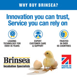 Brinsea Ecoglow Safety 600 Chick or Duckling Brooder, Adjustable Height & Angle Brooder Plate for 20 Chicks, Ideal for Chicken Coops Poultry Heating with Safety Indicator, 12 Watts Brinsea