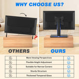 Rfiver Universal Swivel Tabletop TV Stand for Flat Screens 23 24 26 32 39 40 42 43 Inch, Heavy Duty Center Pedestal Stand Replacement with Black Tempered Glass Base and Height Adjustable Mount Rfiver